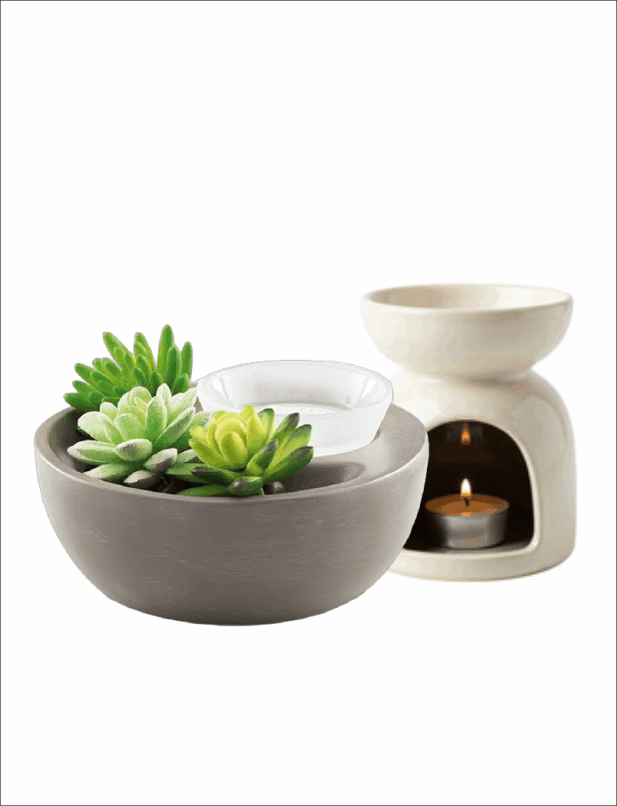Soy Wax Melts WS