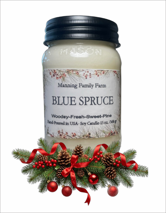 16 oz. Mason Jar Soy Candle - Holiday & Winter WS