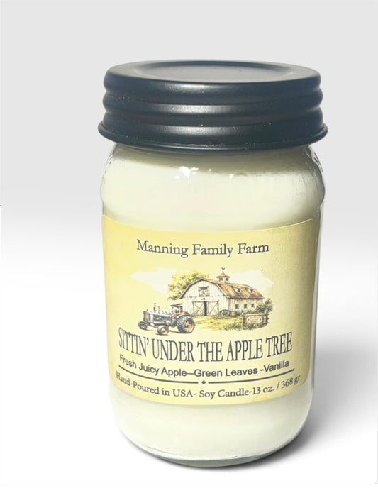 16 oz. Mason Jar  Soy Candle -Year Round Favorites