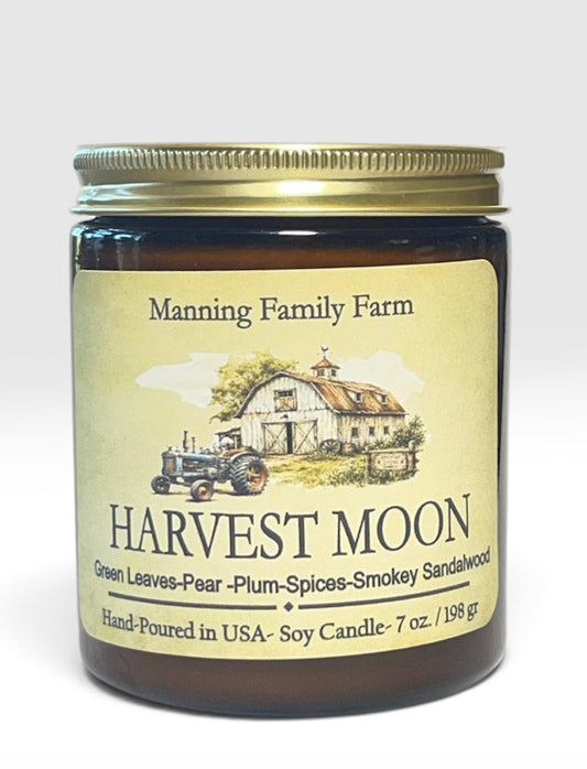 NEW! Fall Favorites- Amber Straight sided Jar  Soy Candle -Choose your fragrance