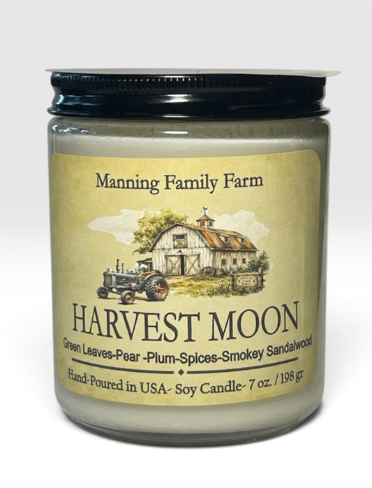 NEW! Fall Favorites- Clear Straight sided Jar  Soy Candle -Choose your fragrance