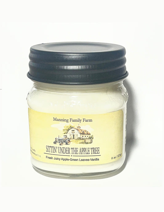 8 oz. Mason Jar Soy Candle -Year Round Favorites