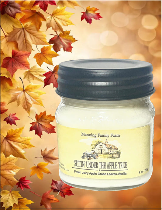 NEW! Fall Favorites- 8 oz. Mason Jar  Soy Candle -Choose your fragrance