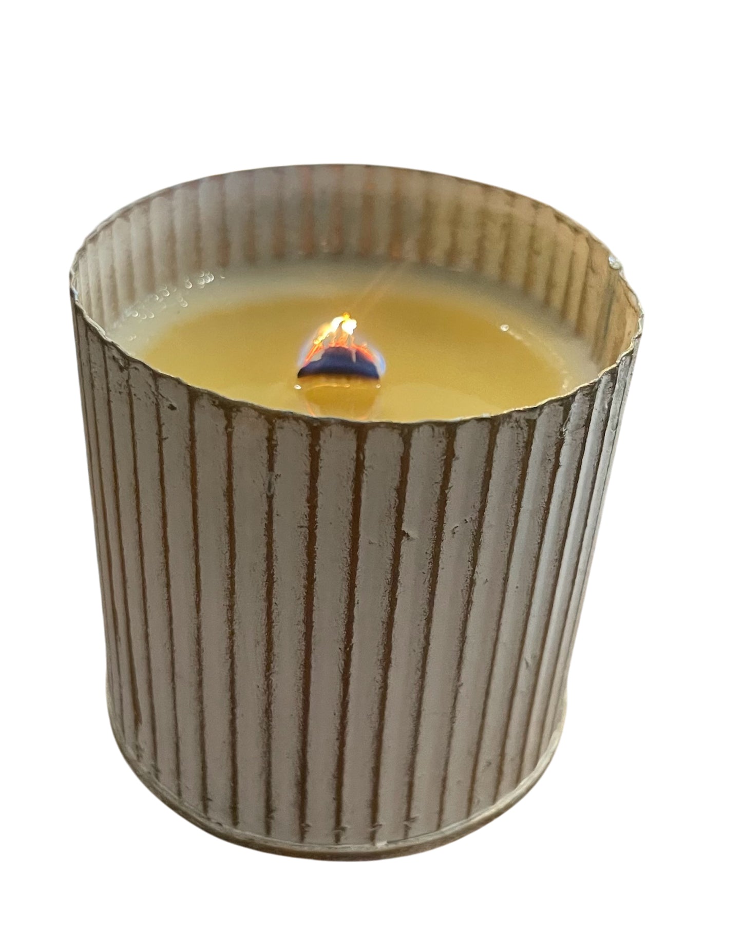 Cactus Flower Soy Candle Garden Collection