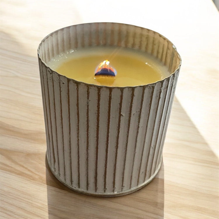 Cactus Flower Soy Candle Garden Collection