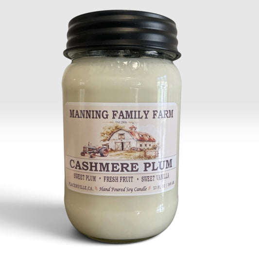 Cashmere Plum Mason Jar Soy Candles